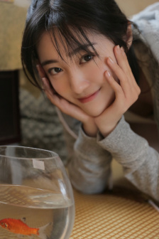 人再囧途